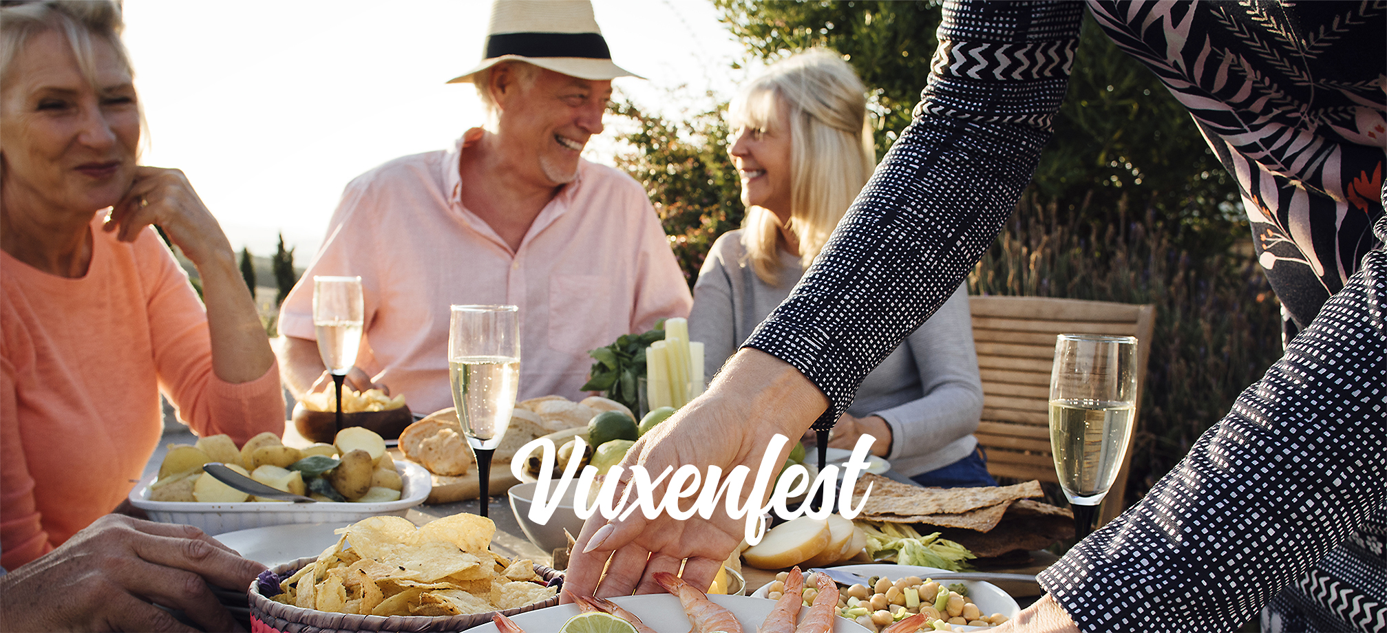 header-vuxenfest-1
